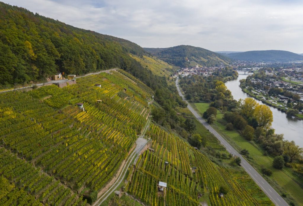 Interesting Facts about Spessartite Garnet